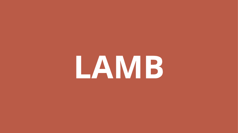 Lamb - The Fat Butcher