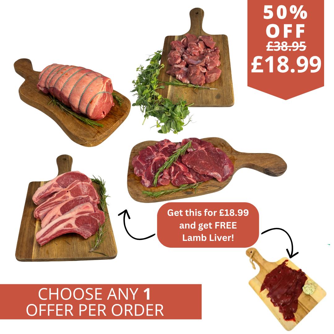 Lamb Mega Bundle